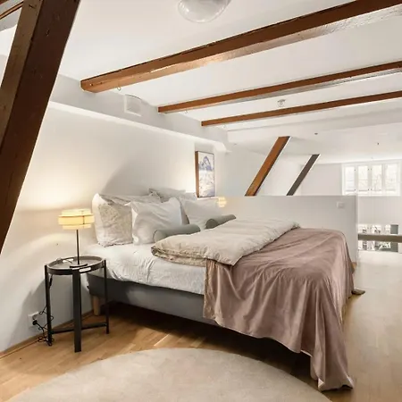 Charming Loft, High Ceiling !modern & Central, Free Private Parking 7 Min Walking ! * Trondheim