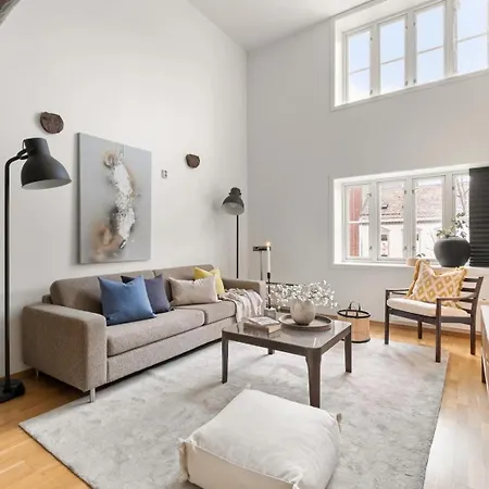 Charming Loft, High Ceiling !modern & Central, Free Private Parking 7 Min Walking ! Daire