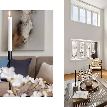 Charming Loft, High Ceiling !modern & Central, Free Private Parking 7 Min Walking !