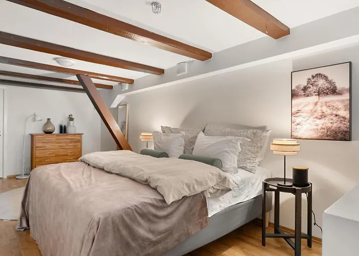 Charming Loft, High Ceiling !modern & Central, Free Private Parking 7 Min Walking ! Apartmán