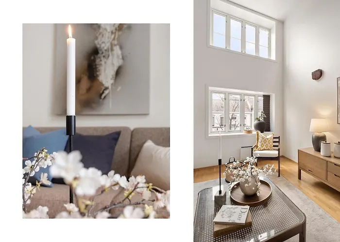 Charming Loft, High Ceiling !modern & Central, Free Private Parking 7 Min Walking !